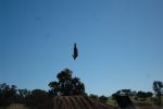 Ramps-02.jpg