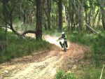 Pete-fire-trail.jpg